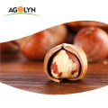 Nice snack Natural palatable Dried raw Hazelnuts In Shell